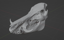 Load image into Gallery viewer, Warthog Skull (STL) Commercial License