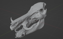 Load image into Gallery viewer, Warthog Skull (STL) Commercial License