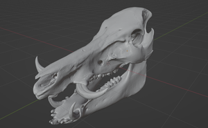 Warthog Skull (STL) Commercial License