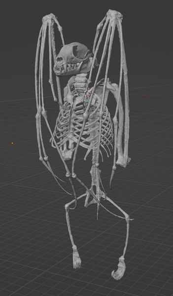 Fruit Bat Whole Skeleton (STL) Commercial License