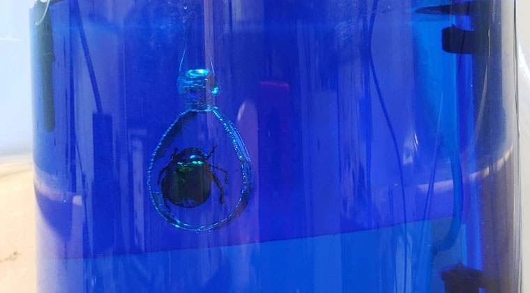 Beginner Electroforming Setup and Workflows