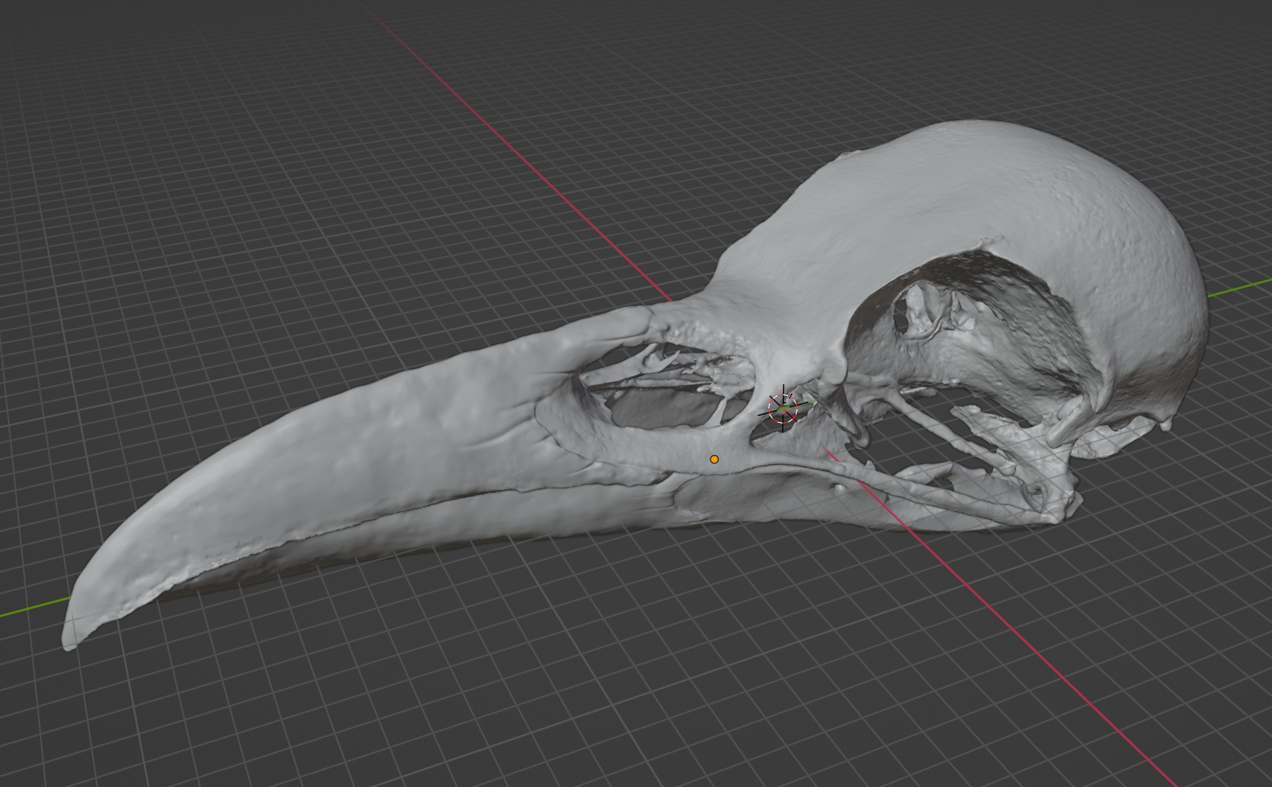 Raven Skull Corvus (STL) Commercial License