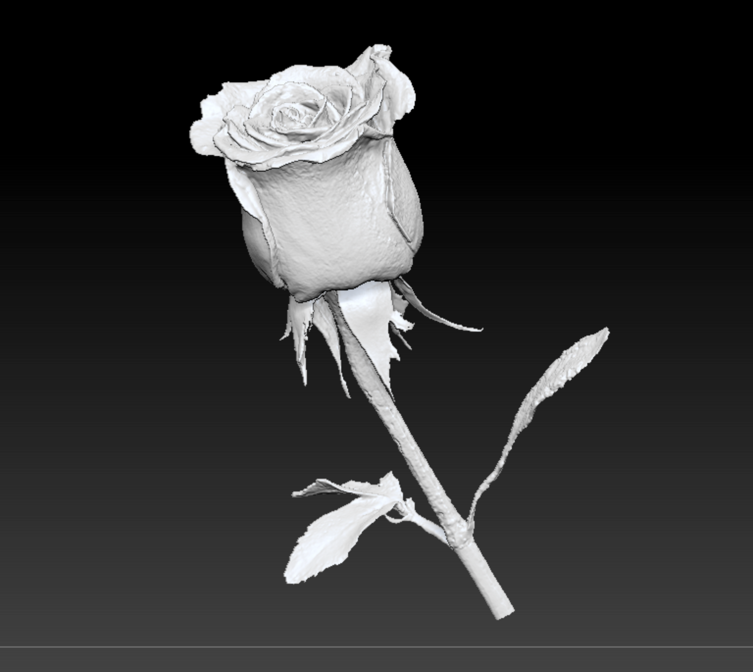 Rose (STL) Commercial License