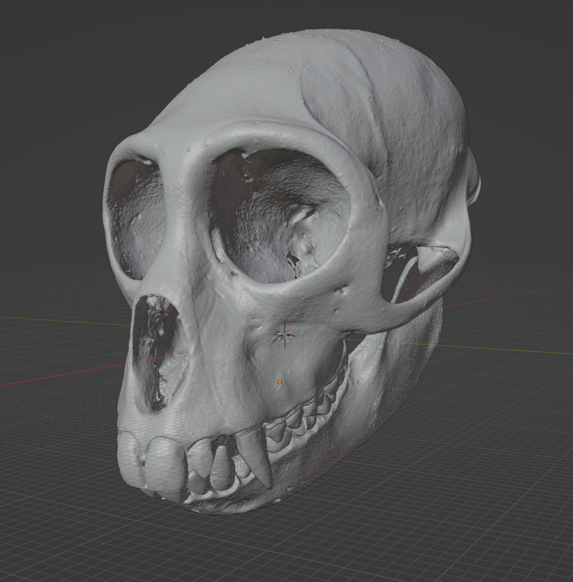 Spotted Monkey Skull Commercial License STL