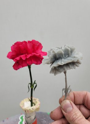 Carnation (STL) Commercial License