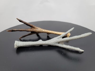 Chicken Foot (STL) Commercial License