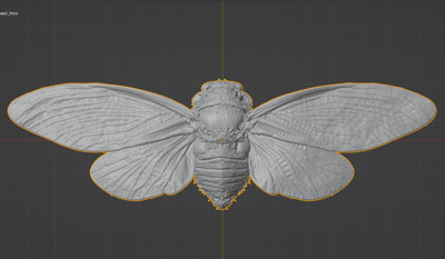 Cicada Commercial License STL