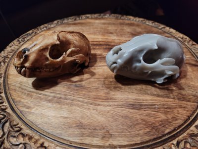 Dog Skull (STL) Commercial License