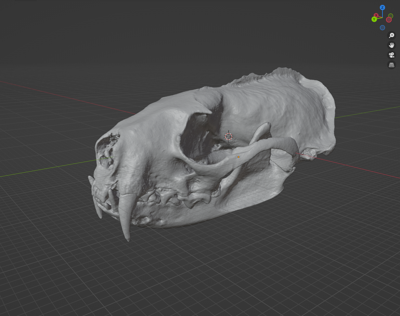 Ferret Skull (STL) Commercial License