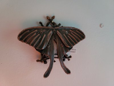 Lunar Moth (STL) Commercial Licence