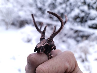 Upper Deer Skull Sculpt (STL file) Commercial License