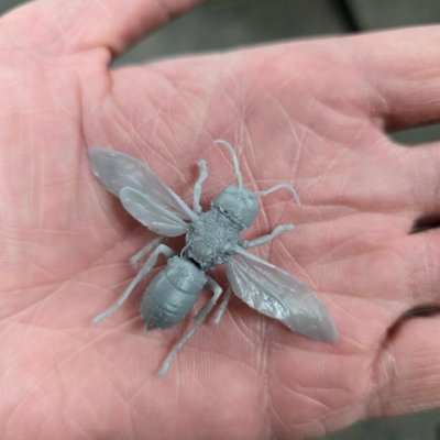 (Murder Hornet) Vespa mandarinia Commercial License STL