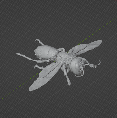 (Murder Hornet) Vespa mandarinia Commercial License STL